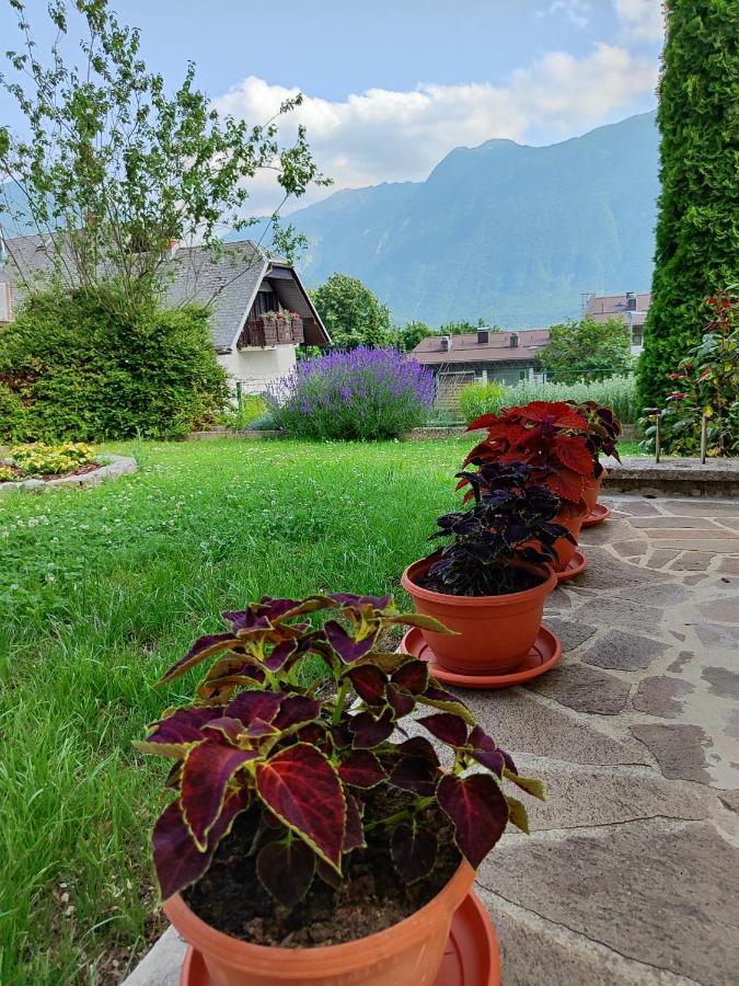 Apartma Nena Bovec Exterior foto